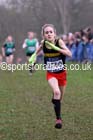 Girls under-13s Inter Counties Cross Country, Prestwold Hall, Loughborough. Photo: David T. Hewitson/Sports for All Pics